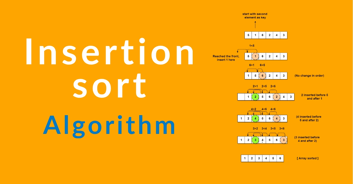 insertion sort algorithm